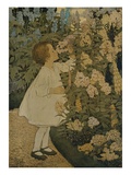 The Senses: Smell