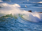 Heavy Surf off Cape Kiwanda on Oregon Coast