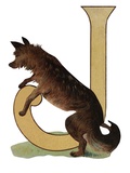 Buy J Is For Jackal at AllPosters.com