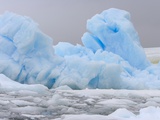 Buy Blue Iceberg Floating Amid Ice Chunks at AllPosters.com