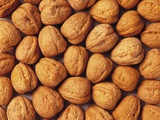 Buy Walnuts at AllPosters.com