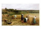 Harvest