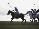 Polo game