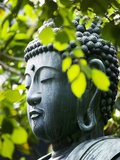 Buddha in Senso-ji Temple Garden