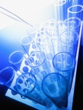 Buy Test Tubes in Tray at AllPosters.com