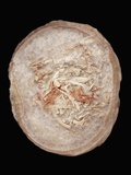 Buy Therizinosaurus Dinosaur Egg Prepared by Terry Manning at AllPosters.com