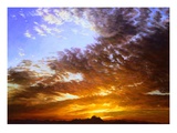 Summer Dawn