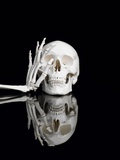 Human skull and skeleton hand Photographic Print