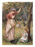 In the Orchard