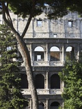 The Colosseum