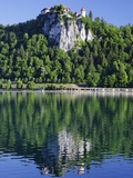Buy Picturesque Castle Above Lake Bled at AllPosters.com