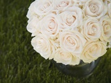 Bouquet of roses