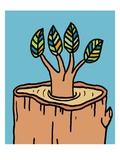 New Tree Growing from Old Stump
