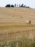 Bales of Hay on Tuscan Farm