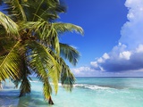 Beach at Soneva Fushi Resort in the Baa Atoll