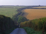 Buy Countryside in Cornwall at AllPosters.com