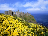 Ruins of Dunluce Castle