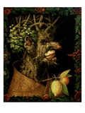 Buy Winter at AllPosters.com