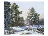 A Fine Winter's Day