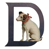 D Is For Dog