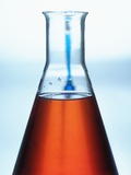 Buy Liquid in Erlenmeyer Flask at AllPosters.com