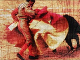 San Miguel, Bullfight #1