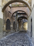 Buy Cobblestone Streets in Ljubljana at AllPosters.com
