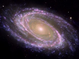 Buy Ursa Major at AllPosters.com