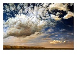 Summer Sky