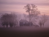 Fall Fog on Suffolk Virginia Farm