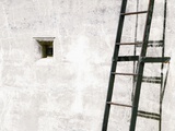 Fort Ladder 1