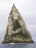 Buy Imperial Shags Nesting on Rocky Pyramid of Shag Rocks at AllPosters.com