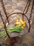 Buy High angle view of a bunch of yellow flowers on the swing at AllPosters.com