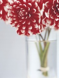Dahlias in vase