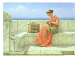 Buy Sweet Sounds at AllPosters.com