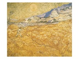 Buy The Harvester at AllPosters.com