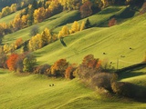 Pastures in St. Magdalena