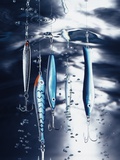 Fishhooks