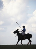 Polo player riding polo pony