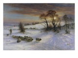 Buy The Evening Glow at AllPosters.com