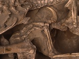 Buy Velociraptor Claw in Belly of a Protoceratops at AllPosters.com