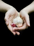 Handful of Garlic