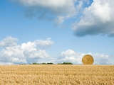Buy Hay bale in a field at AllPosters.com