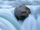 Boulder in Sunwapta Falls