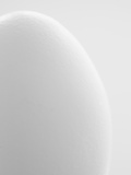 White egg Photographic Print