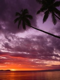 Tropical Sunset