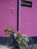 Bicycle and Flowers Outside Antique Store in Carrick