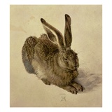 Hare