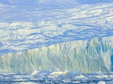 Buy Wiggins Glacier Descending into Sea at AllPosters.com