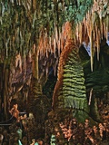 Buy Temple of the Sun Formation at Carlsbad Caverns at AllPosters.com